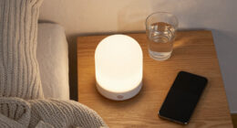 2 Best Home Night Lights In 2026
