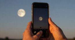 June’s strawberry moon is peaking soon. Here’s what to know
