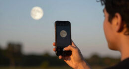 Look up Monday evening for the full strawberry moon
