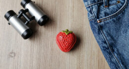 Strawberry Moon 2026: June’s full moon is also one of the smallest of the year called a micromoon