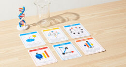 13 Best Science Reference Flashcards in 2026