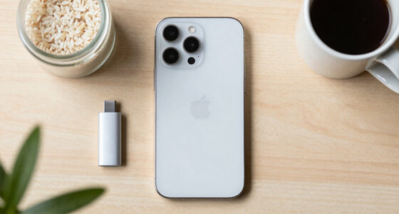 Apple Greift Nach China-Speicher. Europa Hat Nicht Einmal Diese Option.