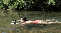 Florida woman swimming in river killed in rare alligator attack at state forest