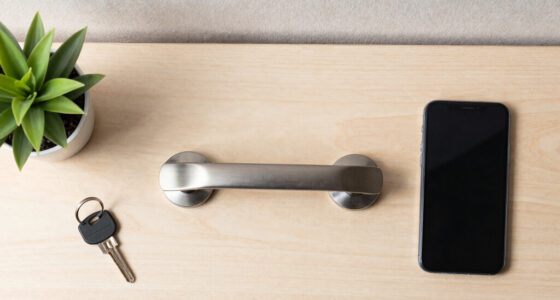 The Door: Why the Interface Is Worth More Than the Model
