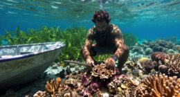 Bomb Fishing Is Wreaking Havoc On Indonesia's Coral Reefs