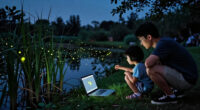 AI Meets Fireflies In The Making Of “Luciole”
