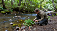 Nature's Capacity To 'Bounce Back' When Species Are Lost Is Overestimated: Study