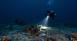 Sixteen Years After Deepwater Horizon, Deep Sea Life Shows Few Signs Of Recovery